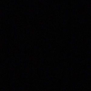 Meet your Posher, Randy